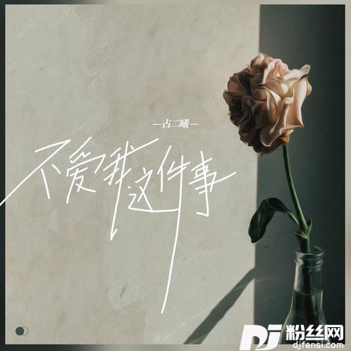 不爱我这件事的专辑