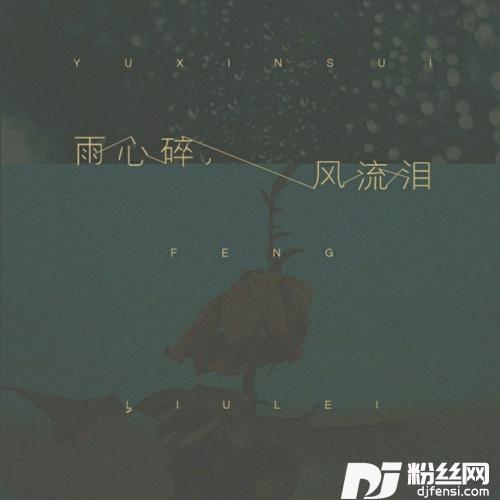 雨心碎，风流泪DJ版cover:黄静美、乔洋
