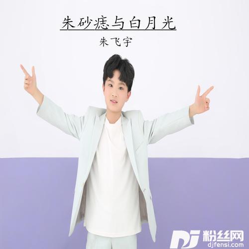 朱砂痣与白月光