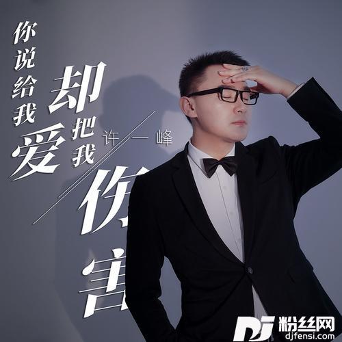 你说给我爱却把我伤害
