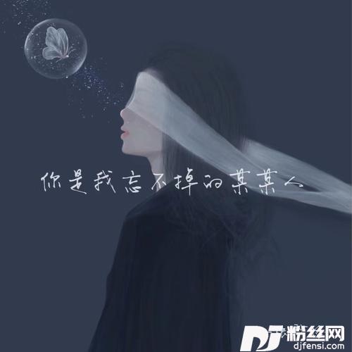 你是我忘不掉的某某人（DJ版）