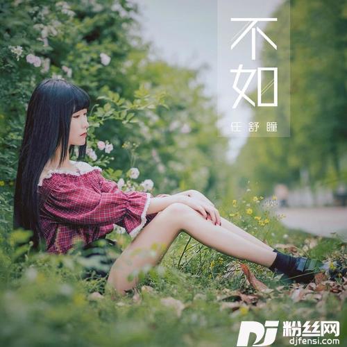 不如的专辑