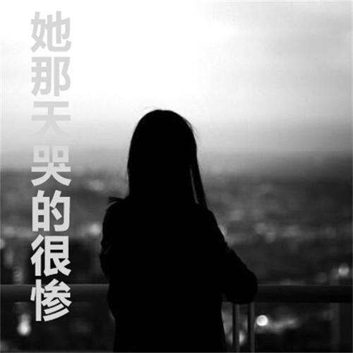 她那天哭的很惨的专辑