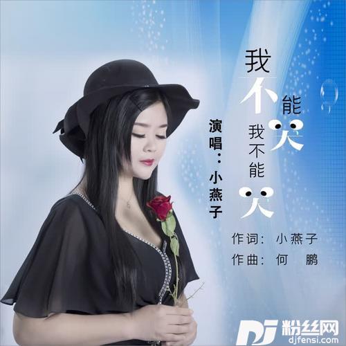 我不能哭我不能哭DJ何鹏版