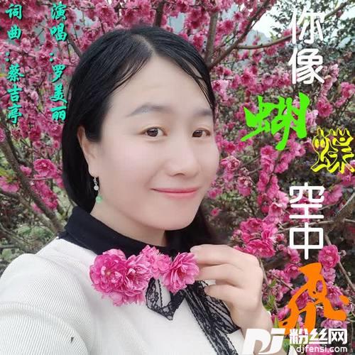 你像蝴蝶空中飞的专辑