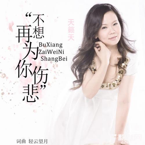 不想再为你伤悲DJ版的专辑