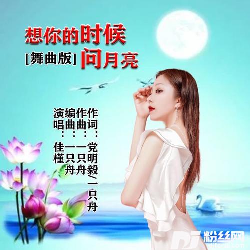 想你的时候问月亮舞曲版的专辑