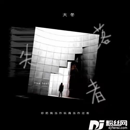 失落者的专辑