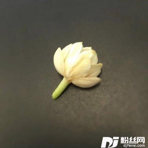 带我飞行