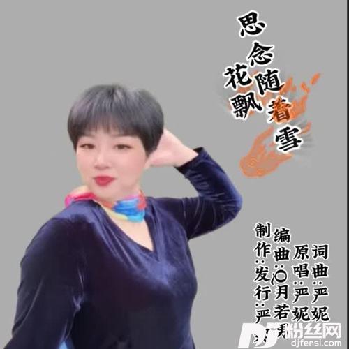 思念随着雪花飘（dj舞曲版）的专辑