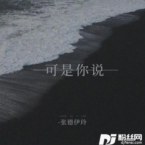 可是你说