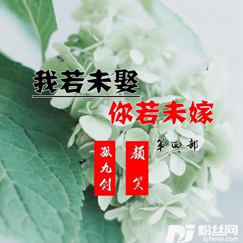 我若未娶你若未嫁第四部