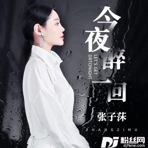 今夜醉一回（DJ版）