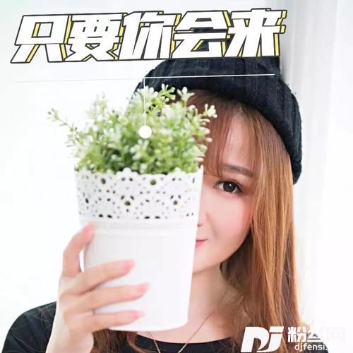 只要你会来