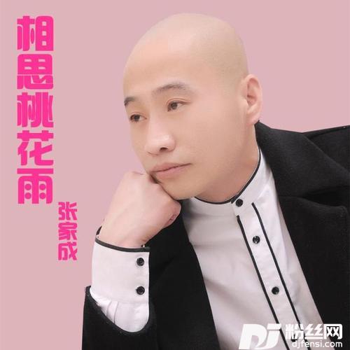 相思桃花雨DJ何鹏