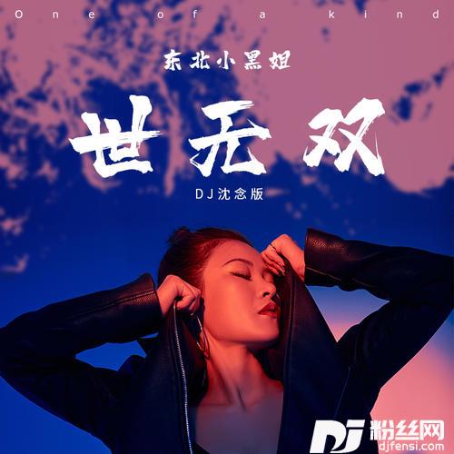 世无双DJ沈念版