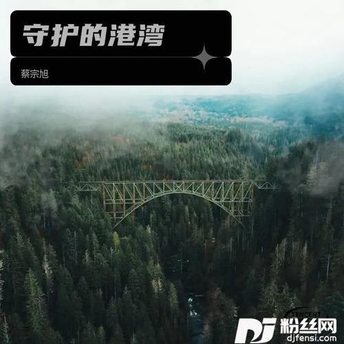 守护的港湾的专辑