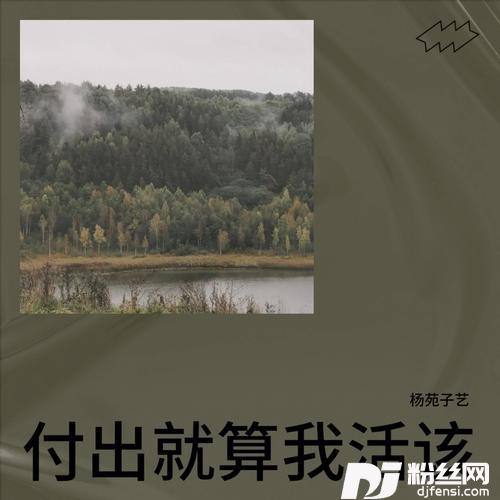 付出就算我活该的专辑