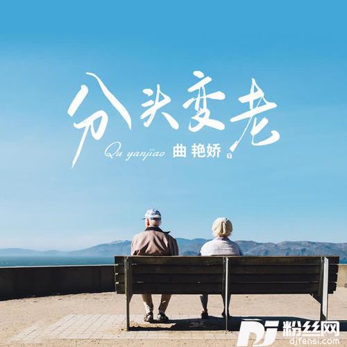 分头变老的专辑