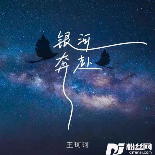 银河奔赴的专辑