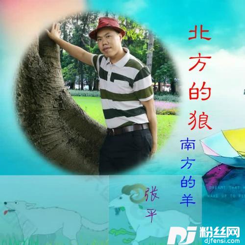 我的大海的专辑