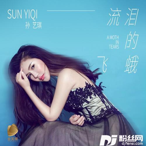 流泪的飞蛾DJ何鹏版