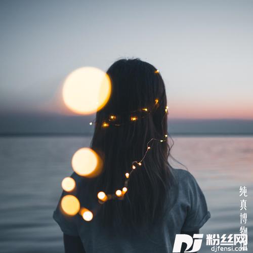 流星下的愿