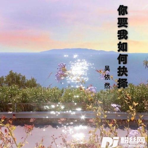你要我如何抉择的专辑