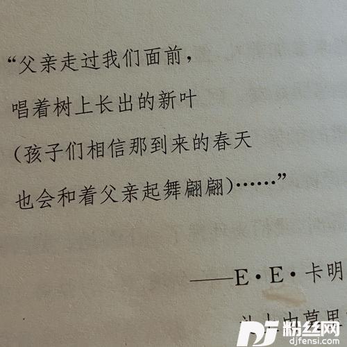 父亲写的散文诗cover:许飞