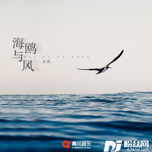 海鸥与风
