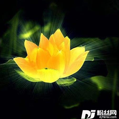 净天地神咒的专辑