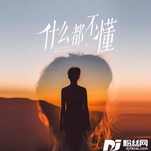 什么都不懂