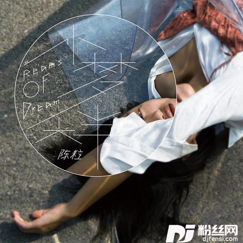 虚拟的专辑