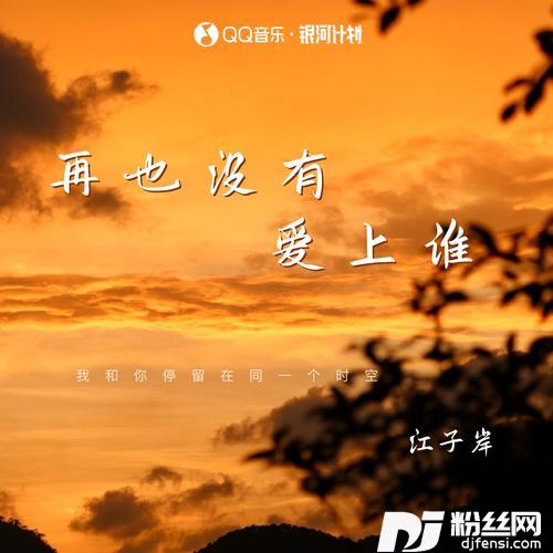 再也没有爱上谁