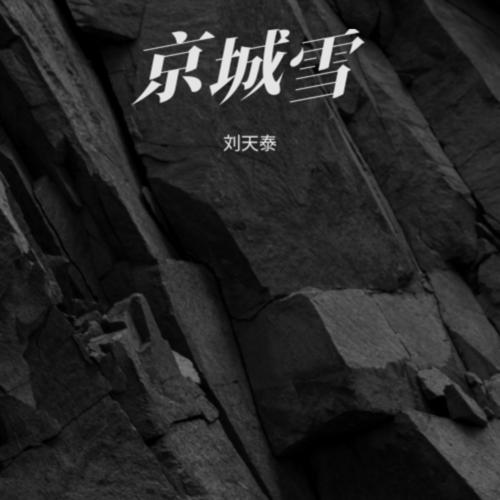 京城雪cover:洛先生