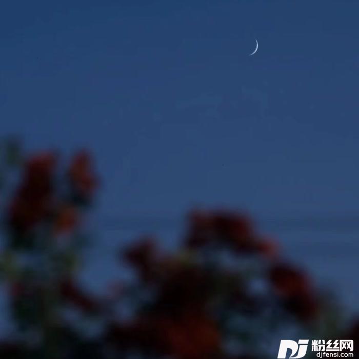 在深秋cover:阿悄