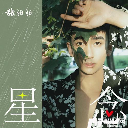 星念的专辑