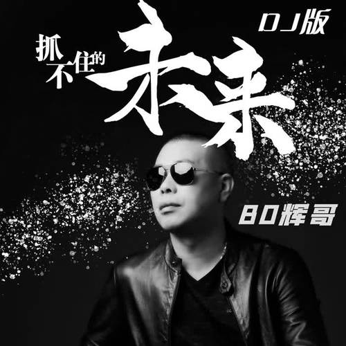 抓不住的未来DJ版的专辑