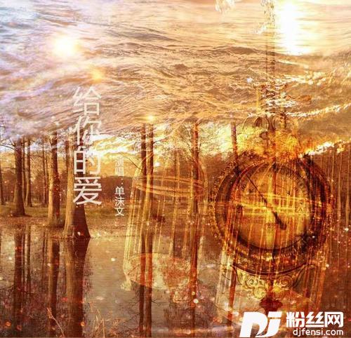 给你的爱