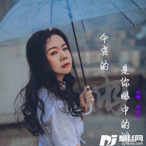今夜的雨是你眼中的泪的专辑