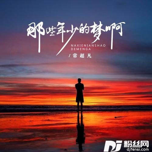 那些年少的梦啊的专辑