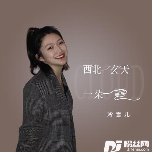 西北玄天一朵云DJ京仔版