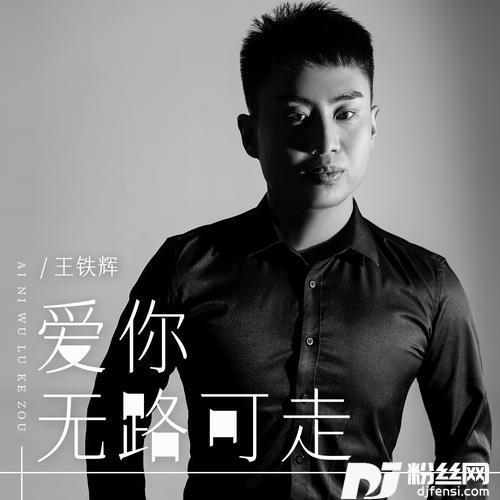 爱你无路可走的专辑