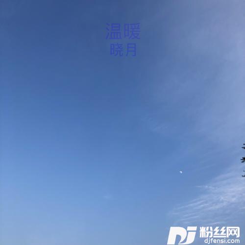 情人节的风