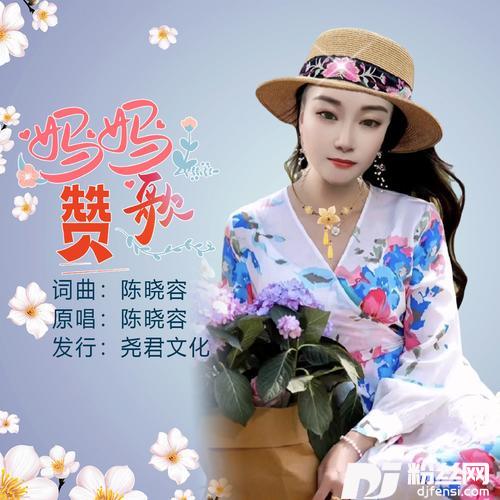妈妈赞歌（DJ）