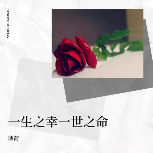 一生之幸一世之命cover:任麦