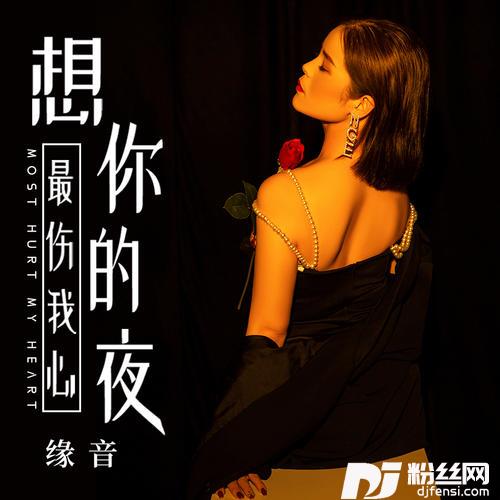 想你的夜最伤我心