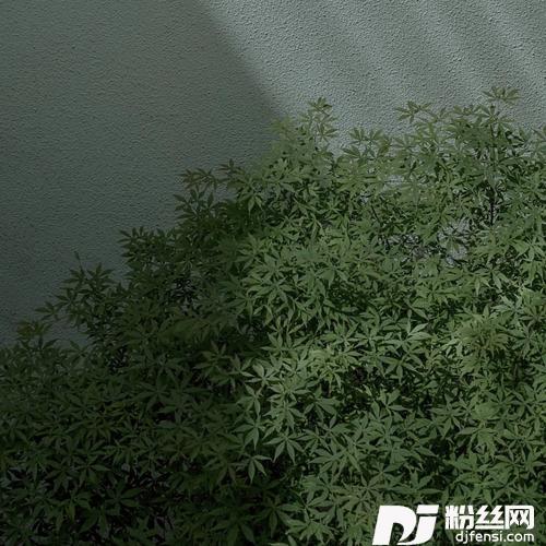 到此为止cover:连诗雅