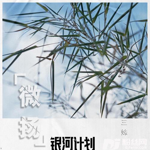 微扬的专辑
