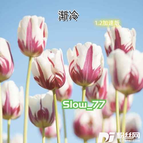 渐冷1.2加速版